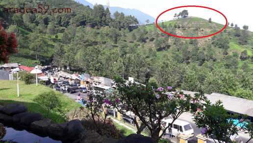 WhatsApp Image 2017-08-04 at 22.27.09.jpeg