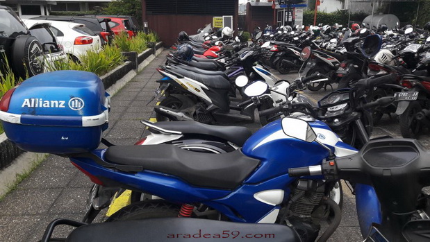 WhatsApp Image 2018-04-22 at 11.43.28.jpeg