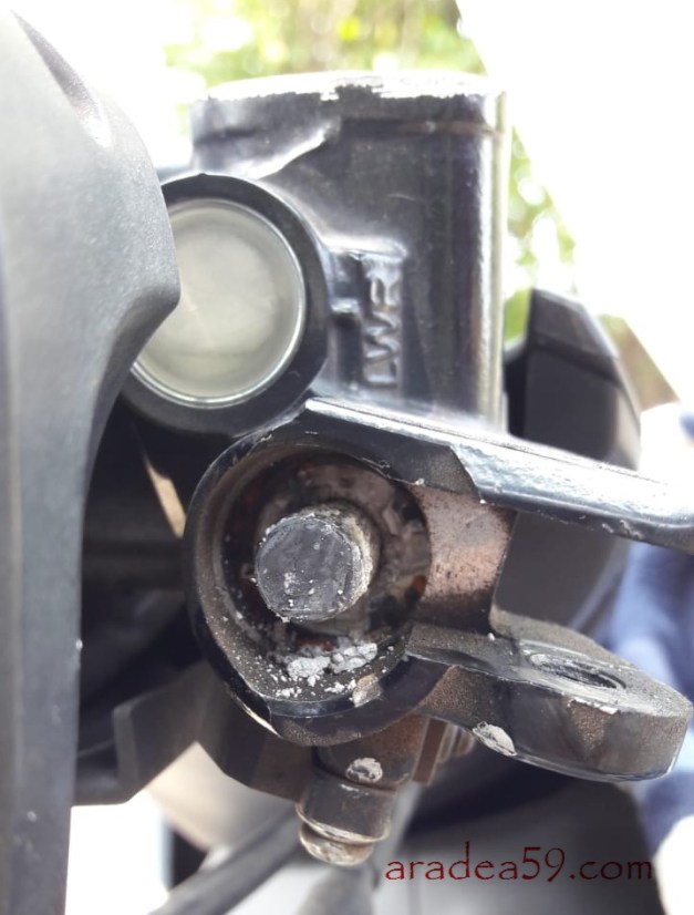 WhatsApp Image 2018-10-16 at 19.31.19 (1).jpeg