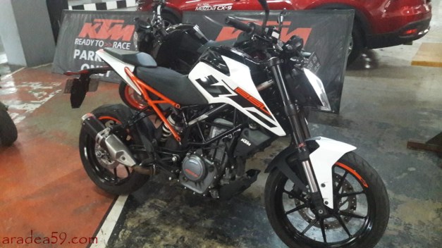 WhatsApp Image 2019-03-18 at 21.20.33.jpeg