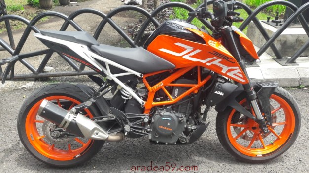 WhatsApp Image 2019-03-18 at 21.20.40.jpeg