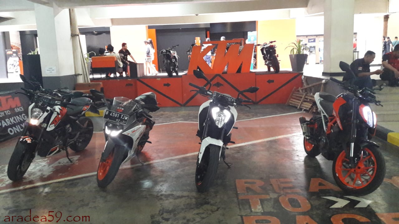 WhatsApp Image 2019-03-18 at 21.21.17.jpeg